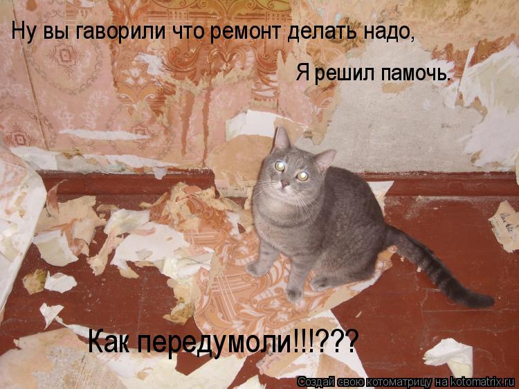 Ну вы гаворили что ремонт делать надо, Я решил памочь. Как передумоли!!!???... Котоматрица: Ну вы гаворили что ремонт делать надо, Я решил памочь. Как передумоли!!!???