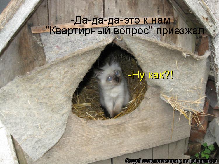 -Да-да-да-это к нам "Квартирный вопрос" приезжал! -Ну как?!... Котоматрица: -Да-да-да-это к нам "Квартирный вопрос" приезжал! -Ну как?!
