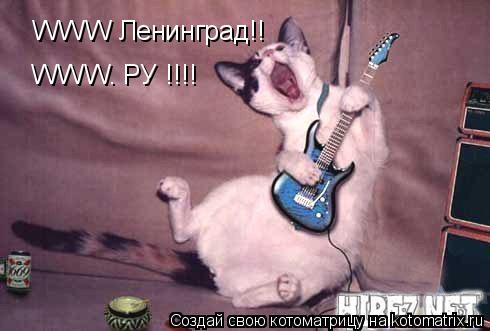 WWW Ленинград!! WWW. РУ !!!!... Котоматрица: WWW Ленинград!! WWW. РУ !!!!