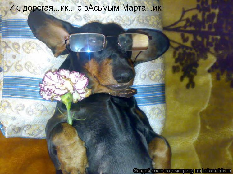 Ик, дорогая...ик....с вАсьмым Марта...ик!... Котоматрица: Ик, дорогая...ик....с вАсьмым Марта...ик!
