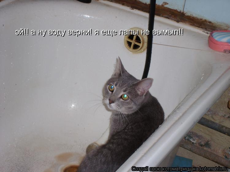 эй!! а ну воду верни! я еще лапы не вымыл!!... Котоматрица: эй!! а ну воду верни! я еще лапы не вымыл!!