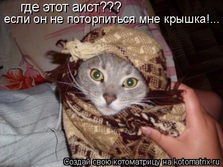 где этот аист??? если он не поторпитья мне крышка... где этот аист??? если он не поторпиться мне кры... Котоматрица: где этот аист??? если он не поторпитья мне крышка... где этот аист??? если он не поторпиться мне крышка!...