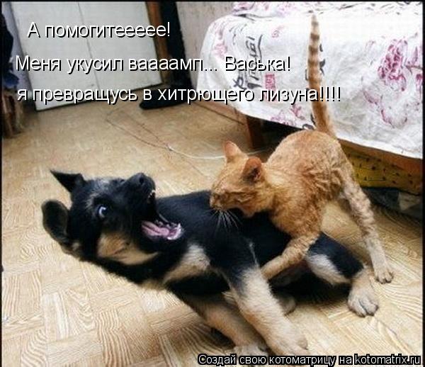 А помогитеееее! Меня укусил ваааамп... Васька! я превращусь в хитрющего лизуна!!!!... Котоматрица: А помогитеееее! Меня укусил ваааамп... Васька! я превращусь в хитрющего лизуна!!!!