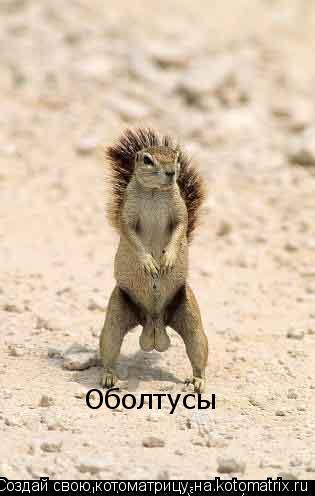 Оболтусы... Котоматрица: Оболтусы
