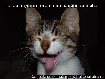 какая гадость какая гадость эта ваша заливная рыба........ Котоматрица: какая гадость какая гадость эта ваша заливная рыба.....