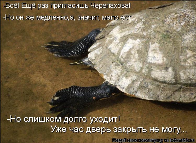 -Всё! Ещё раз пригласишь Черепахова! -Но слишком долго уходит! Уже час дверь закрыть не могу... -Но о... Котоматрица: -Всё! Ещё раз пригласишь Черепахова! -Но слишком долго уходит! Уже час дверь закрыть не могу... -Но он же медленно,а, значит, мало ест....