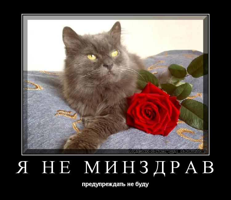 Котоматрица: Я НЕ МИНЗДРАВ предупреждать не буду
