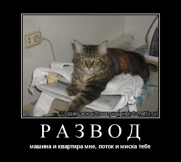 Котоматрица: развод машина и квартира мне, лоток и миска тебе