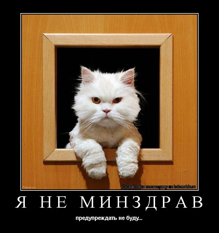 Котоматрица: Я НЕ МИНЗДРАВ предупреждать не буду...