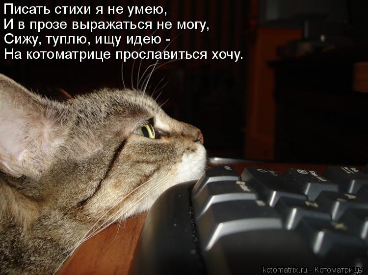 Писать стихи я не умею, И в прозе выражаться не могу, Сижу, туплю, ищу идею - На котоматрице прослав... Котоматрица: Писать стихи я не умею, И в прозе выражаться не могу, Сижу, туплю, ищу идею - На котоматрице прославиться хочу.