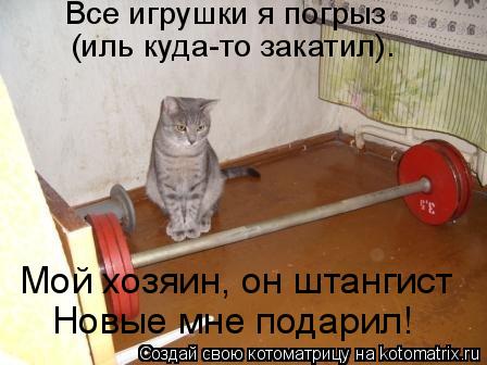 Котоматрица: Все игрушки я погрыз (иль куда-то закатил). Мой хозяин, он штангист Новые мне подарил!