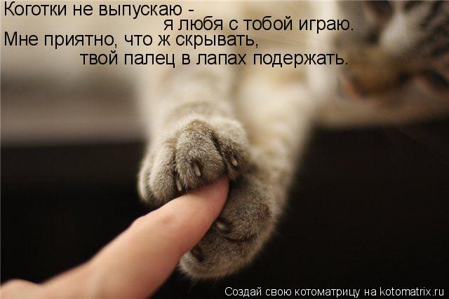Коготки не выпускаю - я любя с тобой играю. Мне приятно, что ж скрывать, твой палец в лапах подержать... Котоматрица: Коготки не выпускаю - я любя с тобой играю. Мне приятно, что ж скрывать, твой палец в лапах подержать.