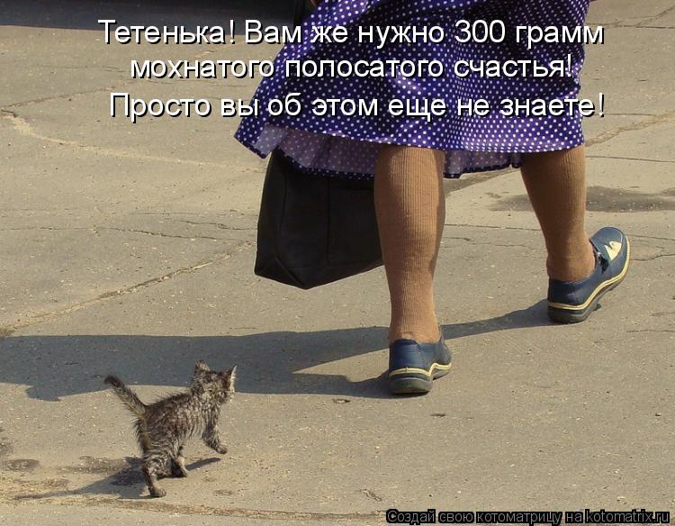 Тетенька! Вам же нужно 300 грамм мохнатого полосатого счастья! Просто вы об этом еще не знаете!... Котоматрица: Тетенька! Вам же нужно 300 грамм мохнатого полосатого счастья! Просто вы об этом еще не знаете!