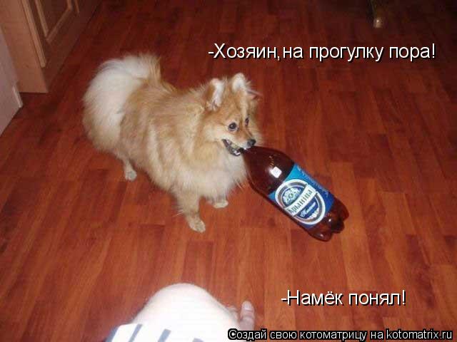 -Хозяин,на прогулку пора! -Намёк понял!... Котоматрица: -Хозяин,на прогулку пора! -Намёк понял!