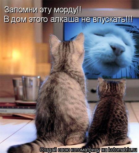 Запомни эту морду!! В дом этого алкаша не впускать!!!... Котоматрица: Запомни эту морду!! В дом этого алкаша не впускать!!!