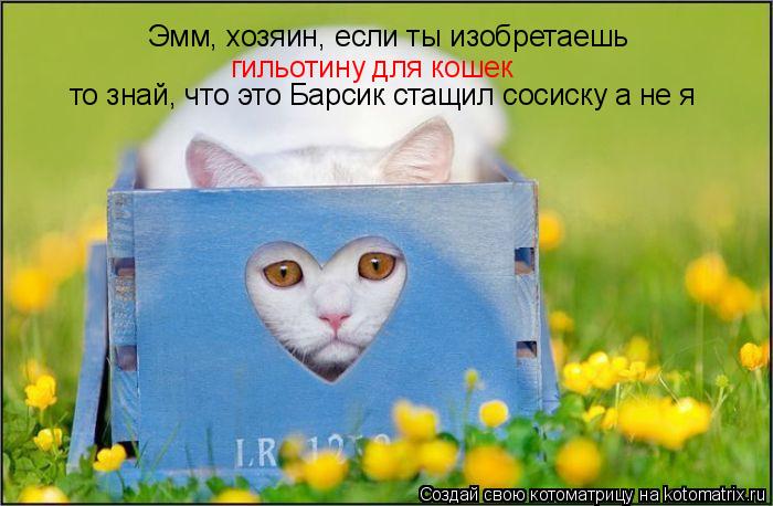 Эмм, хозяин, если ты изобретаешь гильотину для кошек то знай, что это Барсик стащил сосиску а не я... Котоматрица: Эмм, хозяин, если ты изобретаешь гильотину для кошек то знай, что это Барсик стащил сосиску а не я