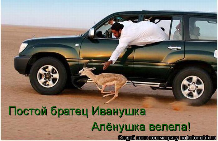 Постой братец Иванушка Алёнушка велела!... Котоматрица: Постой братец Иванушка Алёнушка велела!