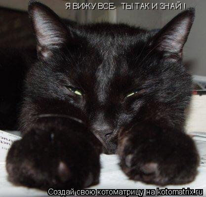 Я ВИЖУ ВСЕ- ТЫ ТАК И ЗНАЙ !... Котоматрица: Я ВИЖУ ВСЕ- ТЫ ТАК И ЗНАЙ !
