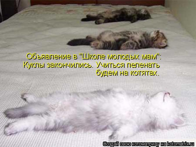 Объявление в "Школе молодых мам": Куклы закончились. Учиться пеленать будем на котятах.... Котоматрица: Объявление в "Школе молодых мам": Куклы закончились. Учиться пеленать будем на котятах.