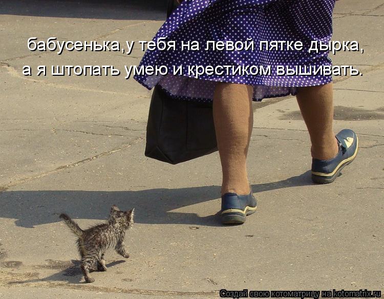 бабусенька,у тебя на левой пятке дырка, а я штопать умею и крестиком вышивать.... Котоматрица: бабусенька,у тебя на левой пятке дырка, а я штопать умею и крестиком вышивать.