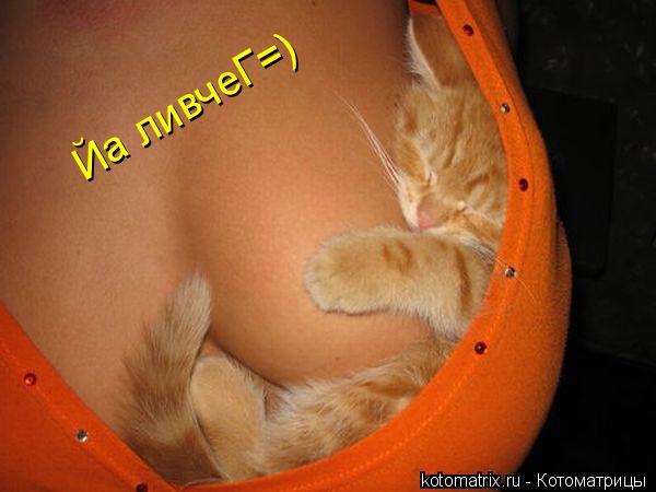 Котоматрица: Йа ливчеГ=)