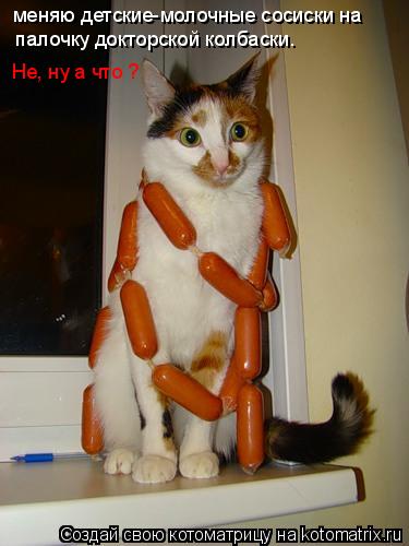 Котоматрица: меняю детские-молочные сосиски на Не, ну а что ?  палочку докторской колбаски.