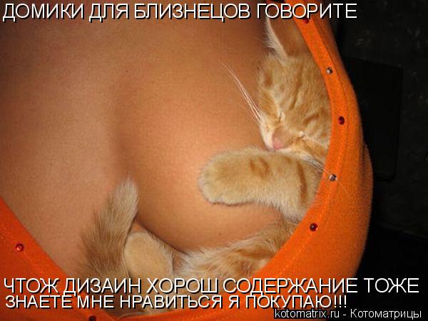 Котоматрица: ДОМИКИ ДЛЯ БЛИЗНЕЦОВ ГОВОРИТЕ ЧТОЖ ДИЗАИН ХОРОШ СОДЕРЖАНИЕ ТОЖЕ ЗНАЕТЕ МНЕ НРАВИТЬСЯ Я ПОКУПАЮ!!!