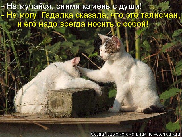 - Не мучайся, сними камень с души! - Не могу! Гадалка сказала, что это талисман, и его надо всегда но... Котоматрица: - Не мучайся, сними камень с души! - Не могу! Гадалка сказала, что это талисман, и его надо всегда носить с собой!