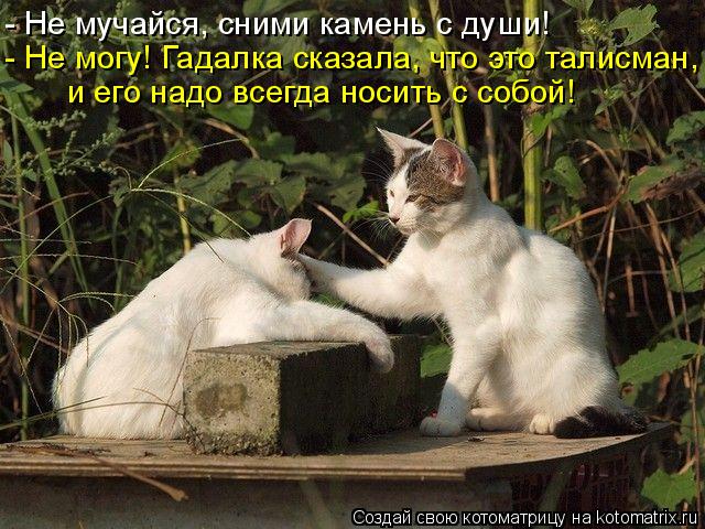 Котоматрица: - Не мучайся, сними камень с души! - Не могу! Гадалка сказала, что это талисман, и его надо всегда носить с собой!