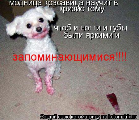 Котоматрица: модница красавица научит в   чтоб и ногти и губы  были яркими и  кризис тому запоминающимися!!!!