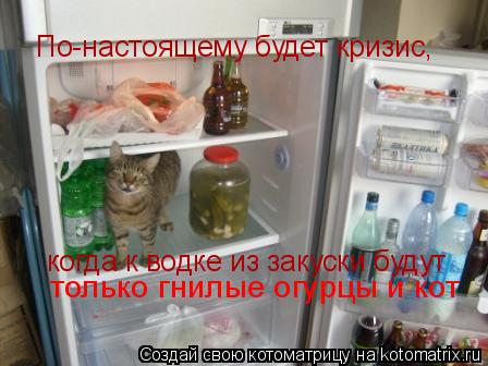 Котоматрица: По-настоящему будет кризис, когда к водке из закуски будут  только гнилые огурцы и кот