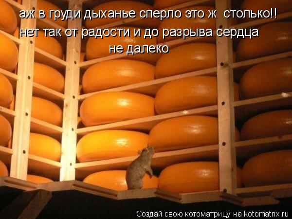 Котоматрица: аж в груди дыханье сперло это ж  столько!! нет так от радости и до разрыва сердца  не далеко