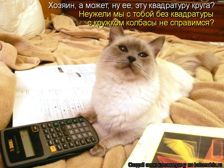Хозяин, а может, ну ее, эту квадратуру круга? Неужели мы с тобой без квадратуры с кружком колбасы не ... Котоматрица: Хозяин, а может, ну ее, эту квадратуру круга? Неужели мы с тобой без квадратуры с кружком колбасы не справимся?