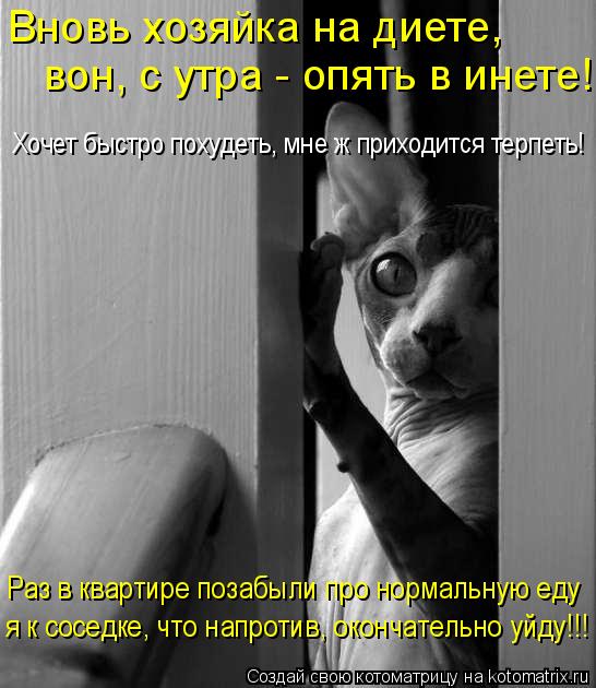 Вновь хозяйка на диете, вон, с утра - опять в инете! Хочет быстро похудеть, мне ж приходится терпеть... Котоматрица: Вновь хозяйка на диете, вон, с утра - опять в инете! Хочет быстро похудеть, мне ж приходится терпеть! Раз в квартире позабыли про нормальную е