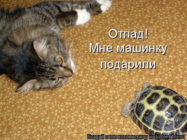 Отпад! Мне машинку подарили... Котоматрица: Отпад! Мне машинку подарили