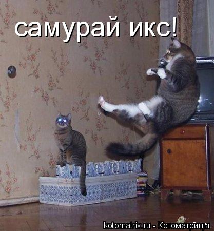 Котоматрица: самурай икс!