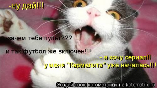 Котоматрица: -ну дай!!! -зачем тебе пульт??? и так футбол же включен!!! - я хочу сериал!! у меня "Кармелита" уже началась!!!!