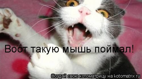 Котоматрица: Воот такую мышь поймал!