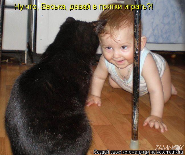 Котоматрица: Ну что, Васька, давай в прятки играть?!
