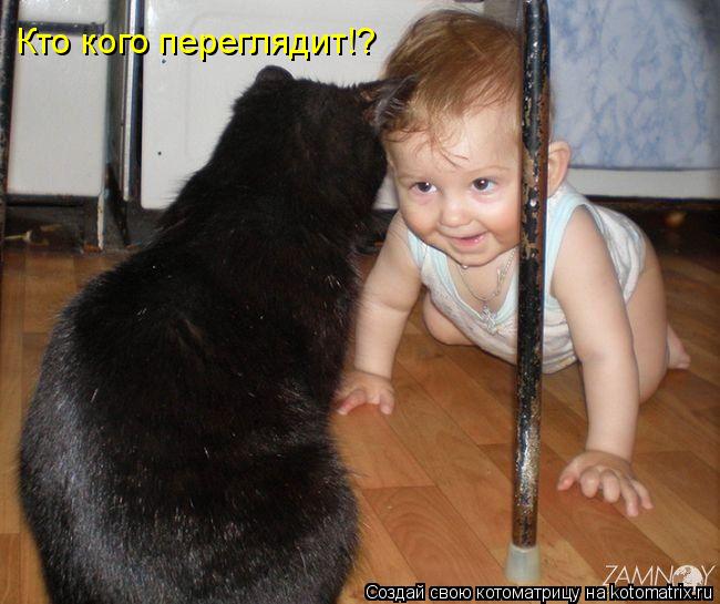 Котоматрица: Кто кого переглядит!?