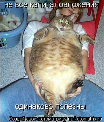 не все капиталовложения одинаково полезны... Котоматрица: не все капиталовложения одинаково полезны