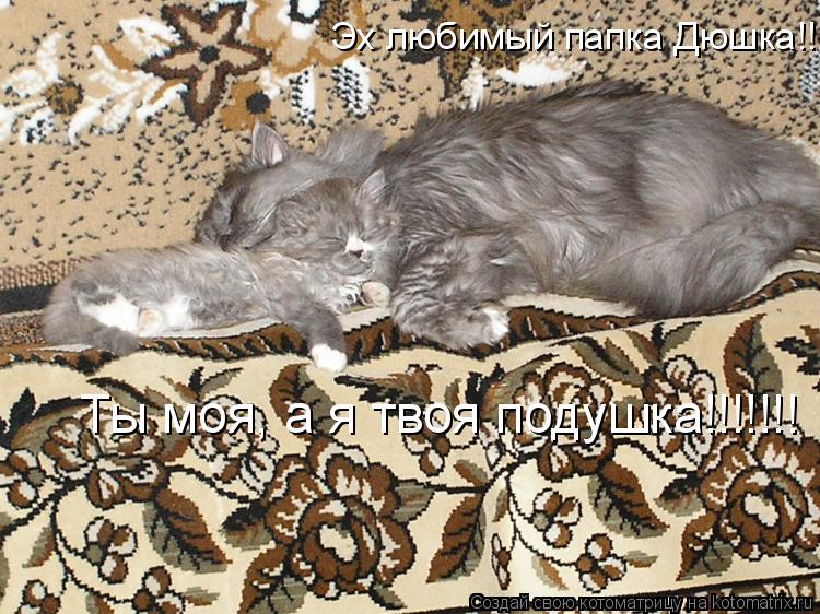 Котоматрица: Эх любимый папка Дюшка!!!!!!!!!!!!!! Ты моя, а я твоя подушка!!!!!!!