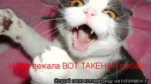 Котоматрица: ...И там лежала ВОТ ТАКЕНАЯ рыба!!!
