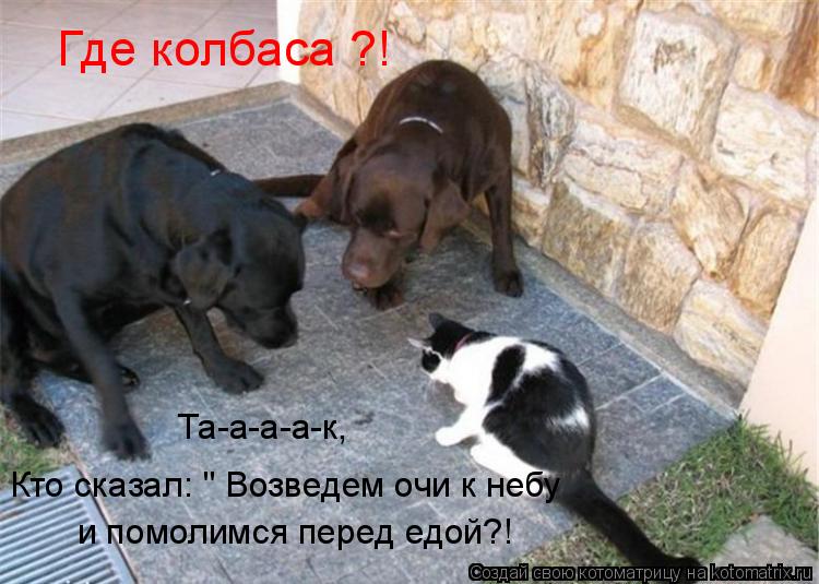 http://kotomatrix.ru/images/lolz/2009/07/28/330142.jpg