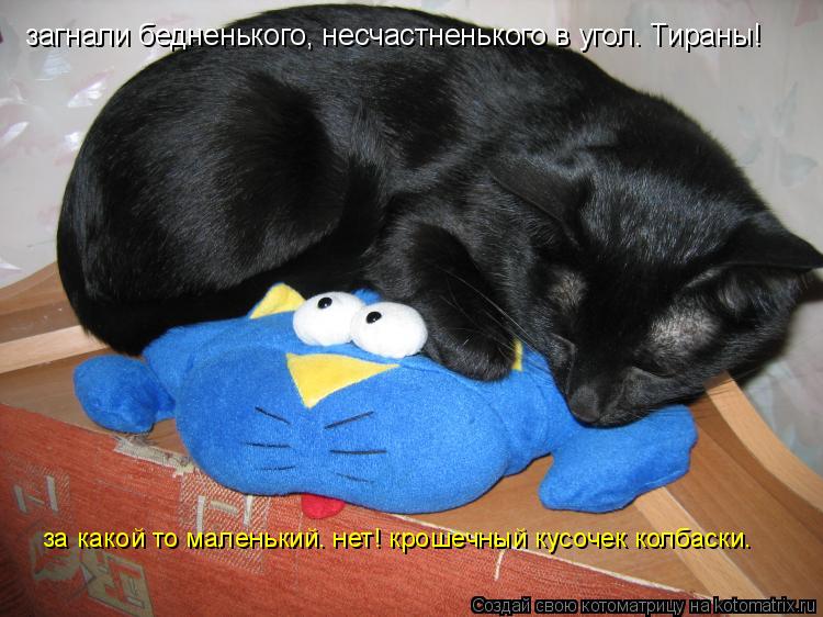 Котоматрица: загнали бедненького, несчастненького в угол. Тираны!  за какой то маленький. нет! крошечный кусочек колбаски.