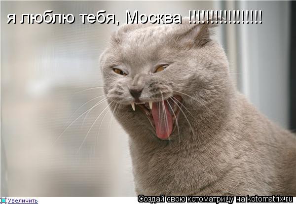 Котоматрица: я люблю тебя, Москва !!!!!!!!!!!!!!!!!