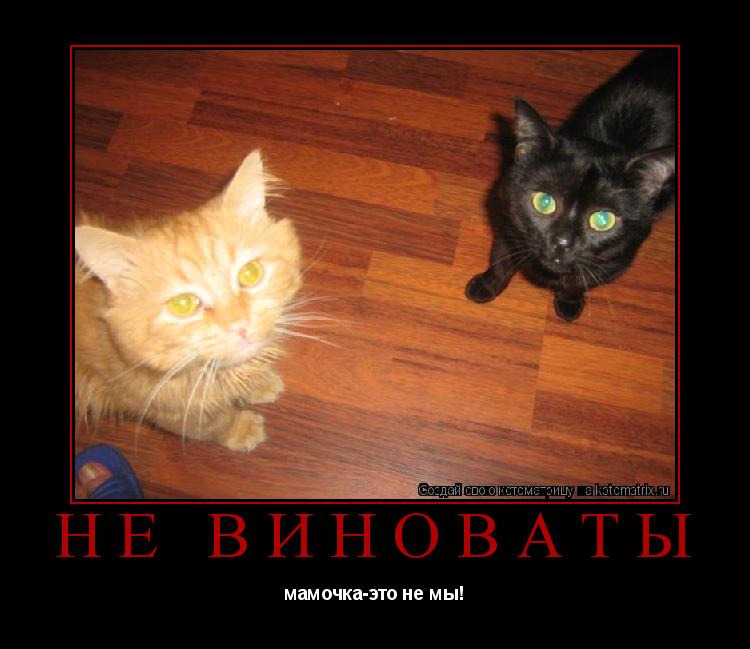 Котоматрица: НЕ ВИНОВАТЫ мамочка-это не мы!
