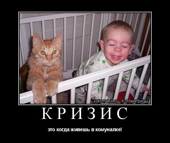 Котоматрица: кризис это когда живешь в комуналке!