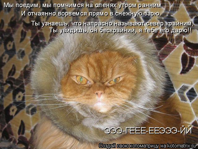 Котоматрица: Мы поедим, мы помчимся на оленях утром ранним И отчаянно ворвемся прямо в снежную зарю. Ты узнаешь, что напрасно называют север крайним, Ты у