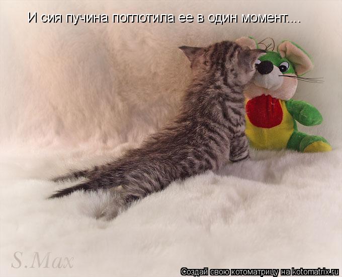 Котоматрица: И сия пучина поглотила ее в один момент....